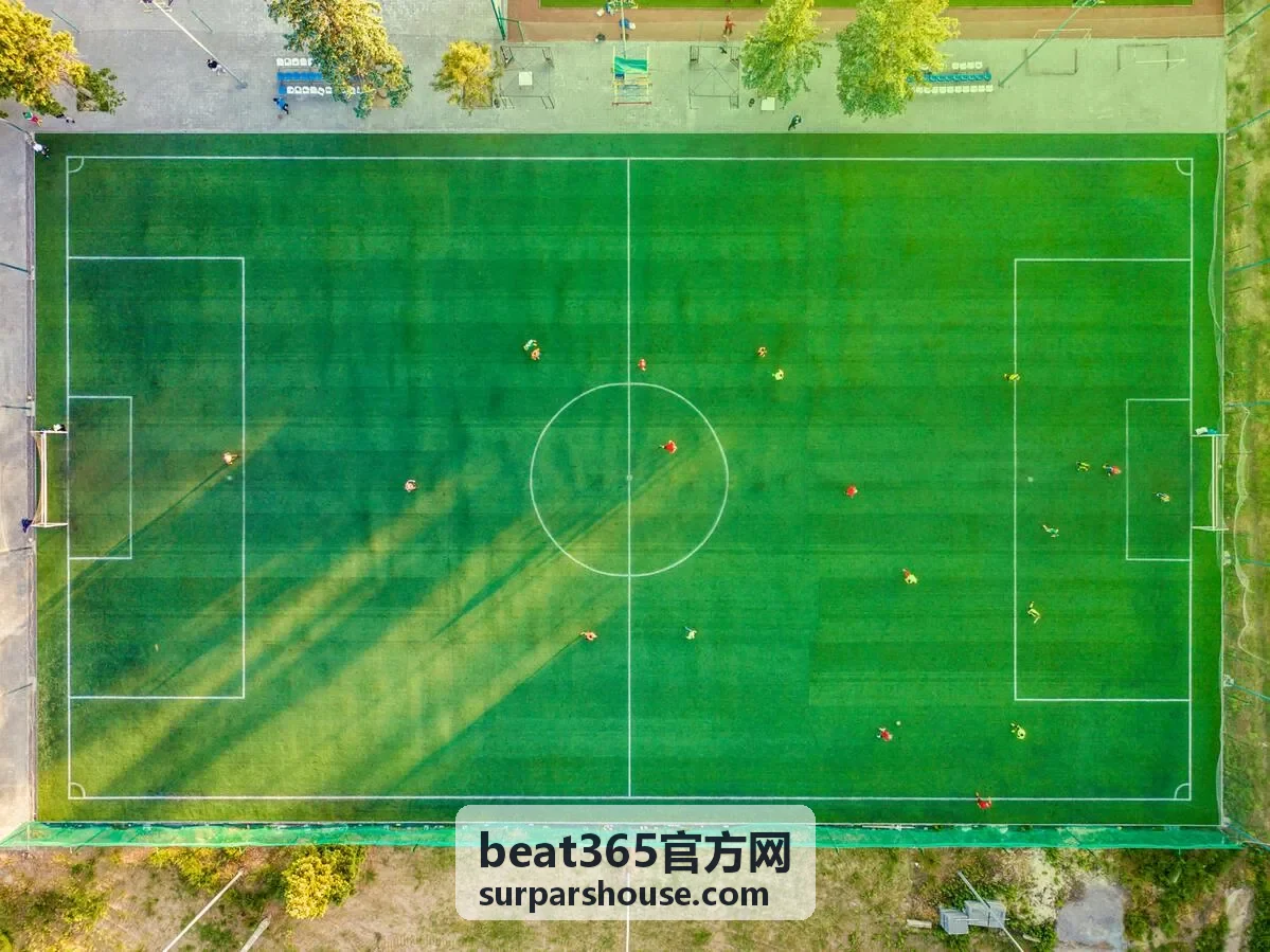 beat365官方网账户安全中心核验流程界面