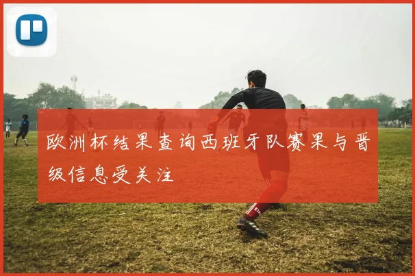 欧洲杯结果查询西班牙队赛果与晋级信息受关注