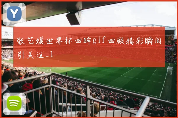 张艺媛世界杯回眸gif回顾精彩瞬间引关注_1