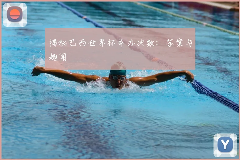 揭秘巴西世界杯举办次数:答案与趣闻