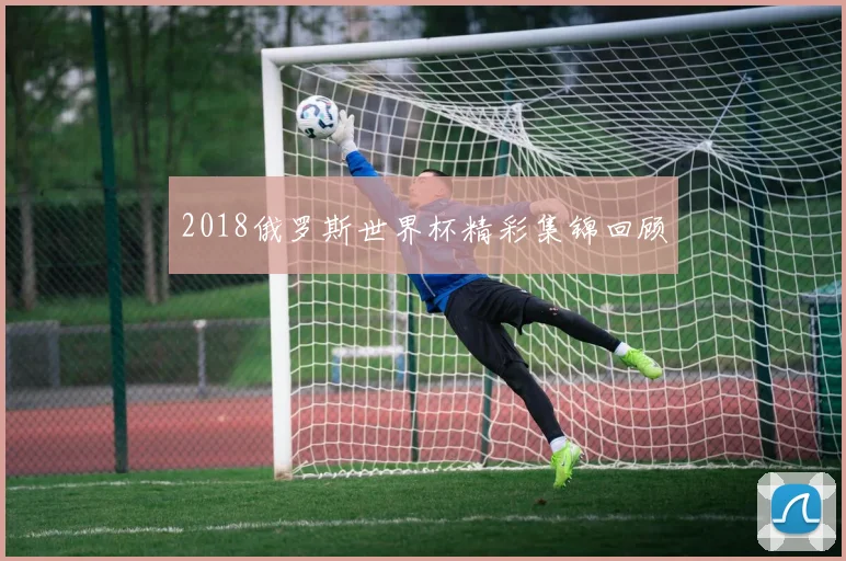 2018俄罗斯世界杯精彩集锦回顾