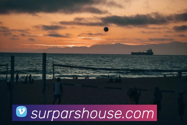 ayx登录平台APP 封面图